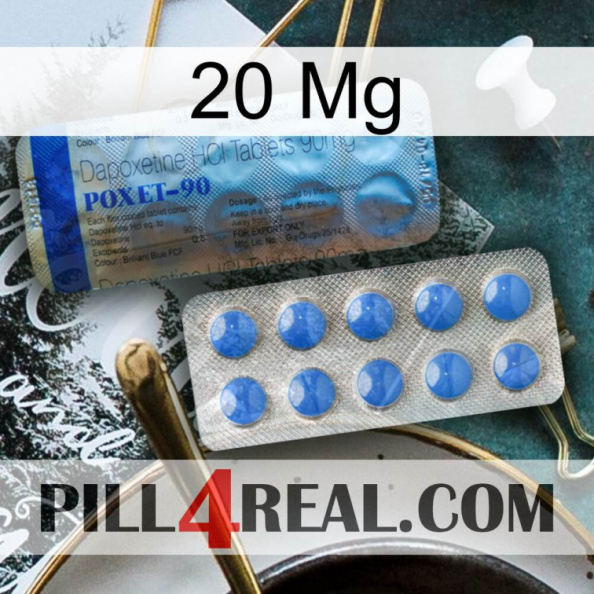 20 Mg 40.jpg